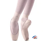 Merlet Belle Pointe Shoe