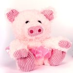 Scruffy Piggy