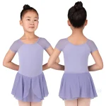 Girls Silhouette Mesh Short Sleeve Dance Dress